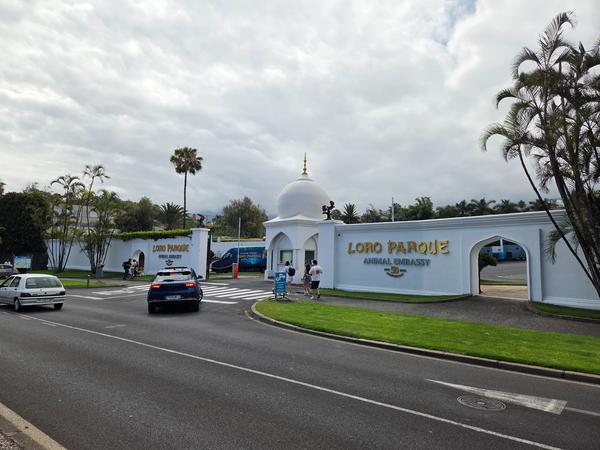 Entrada de Loro Parque Entrada principal de Loro Parque en Tenerife con cúpula blanca, palmeras y visitantes llegando.