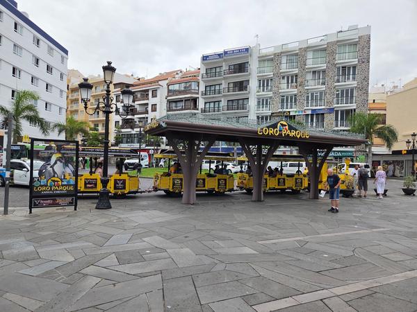 Tren turístico amarillo de Loro Parque esperando pasajeros en el centro de Puerto de la Cruz.