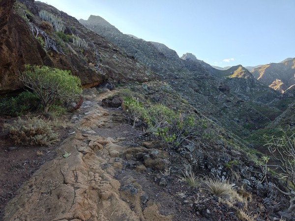 Sendero rocoso en un paisaje montañoso árido de Anaga, con vegetación autóctona y barrancos al fondo.