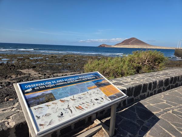 Observación de aves en El Médano Cartel informativo sobre aves acuáticas migratorias en los bajíos costeros de El Cabezo, con vista al océano y la Montaña Roja al fondo.