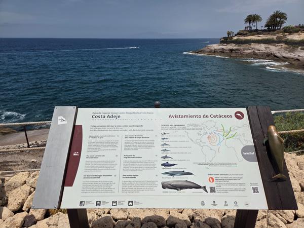 Avistamiento de cetáceos en Costa Adeje Panel informativo sobre el avistamiento de cetáceos en Costa Adeje, con un mapa y lista de especies.