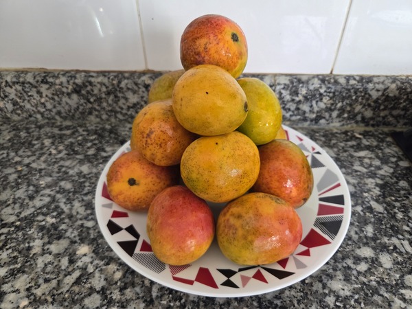 Mangos