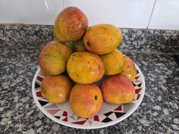 Frutas de mango en Tenerife