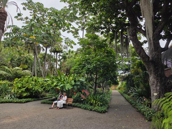 Sendero entre vegetación tropical en el Jardín Botánico del Puerto de la Cruz, con dos personas sentadas en un banco.