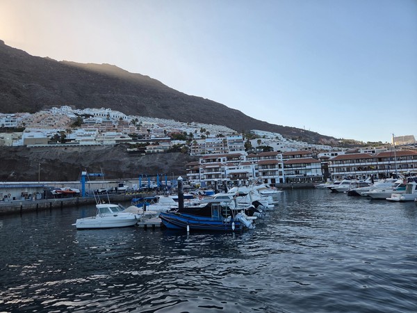 Puerto de Los Gigantes con varias embarcaciones amarradas y edificios escalonados sobre la ladera volcánica.