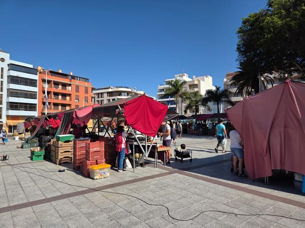 Mercado de El Médano Puestos del mercado al aire libre con toldos rojos en El Médano, rodeado de edificios y palmeras.