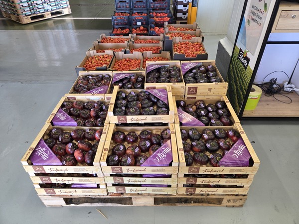 Tomates al por mayor en Mercatenerife