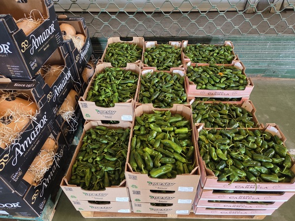 Pimienta en Mercatenerife
