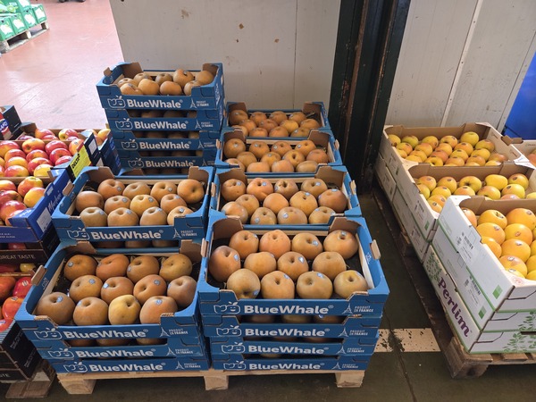 Frutas al por mayor en Mercatenerife