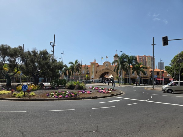 Entrada principal del mercado Nuestra Señora de África en Santa Cruz, rodeada de palmeras y una rotonda florida.