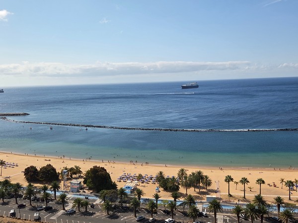 Playa de Las Teresitas, Tenerife Vista panorámica de la playa de Las Teresitas en Tenerife con arena dorada, palmeras alineadas y un carguero en el océano Atlántico.