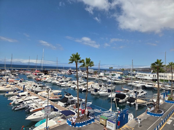 Puerto Colón con numerosos barcos y yates amarrados, palmeras y el mar azul al fondo.
